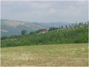 AFV Selva - Caccia agli ungolati, caccia al daino, caccia al capriolo, caccia al cinghiale