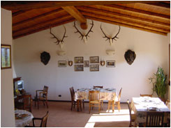 AFV Selva - Caccia agli ungolati, caccia al daino, caccia al capriolo, caccia al cinghiale - Interno della casa di caccia