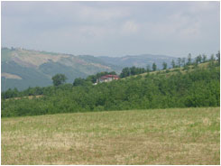 territorio caccia al capriolo, caccia al daino, caccia al cinghiale, caccia agli ungulati