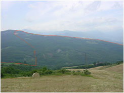 territorio caccia al capriolo, caccia al daino, caccia al cinghiale, caccia agli ungulati
